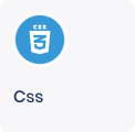 CSS logo